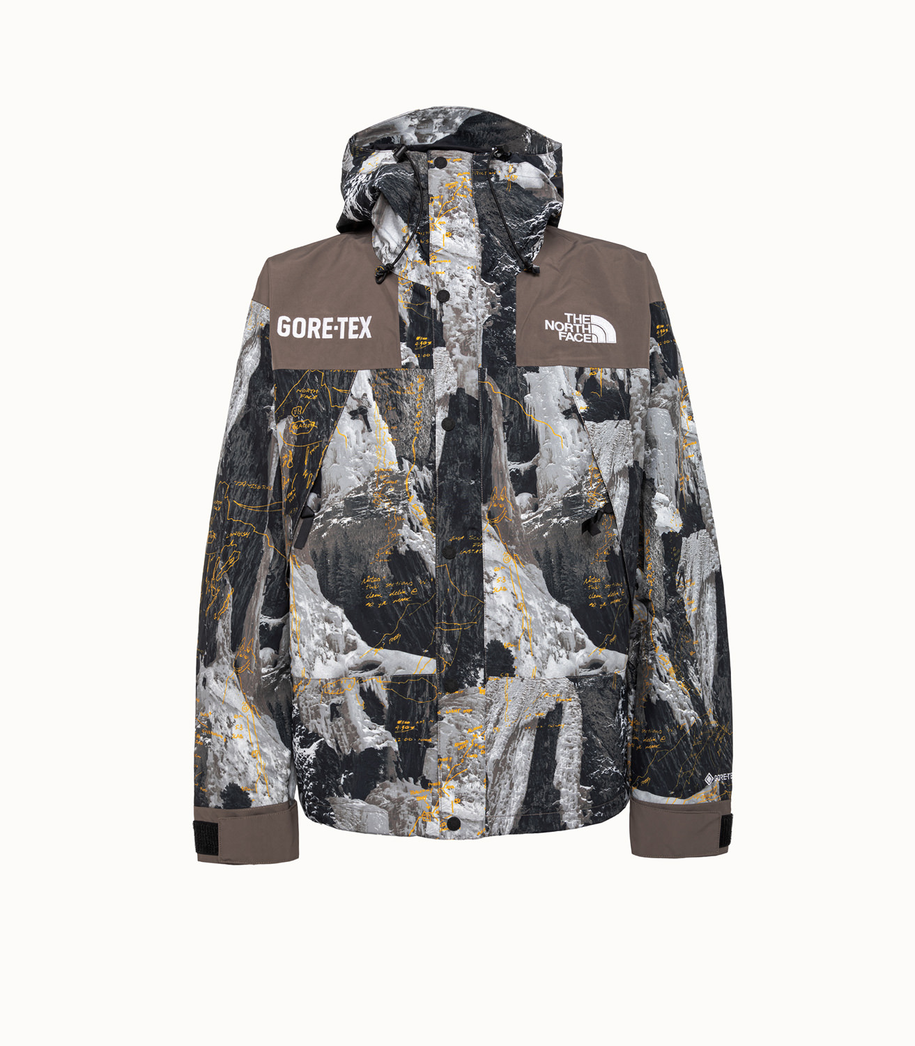 THE NORTH FACE GTX MOUNTAIN JACKET | Playground